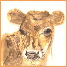 Daisy the Cow Watercolour by Paul Rance