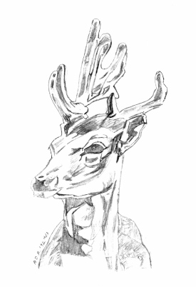 Fallow Deer Drawing by Paul Rance