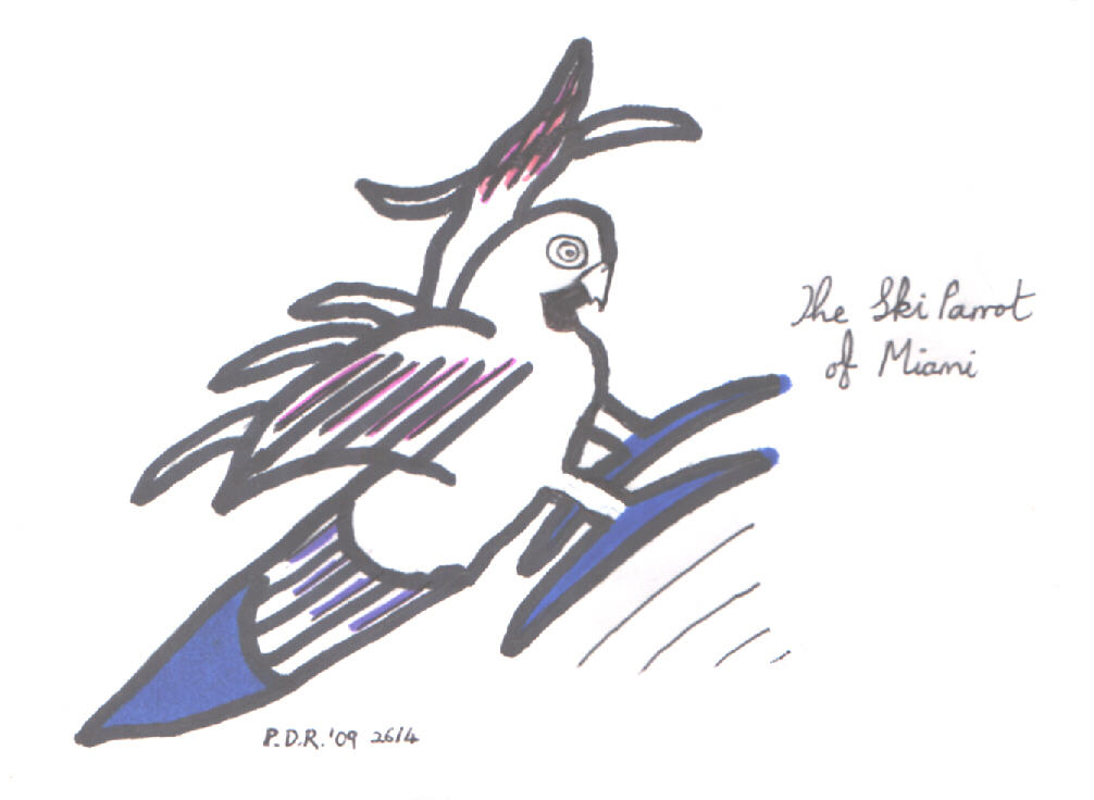 The Ski Parrot of Miami